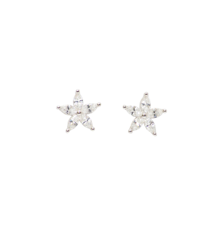 Starfish Cubic Earrings