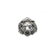 Lion head