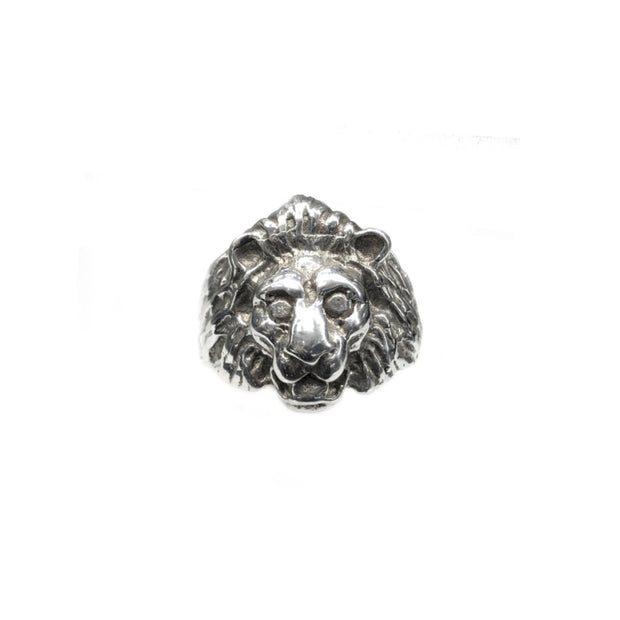 Lion head