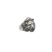 Lion head