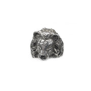 Lion head