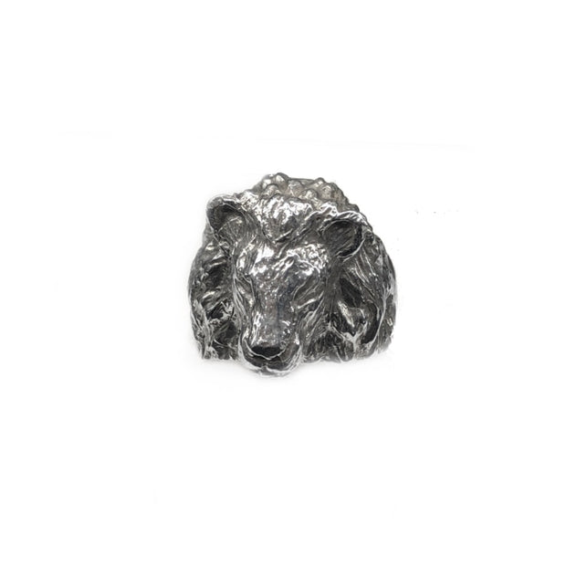 Lion head