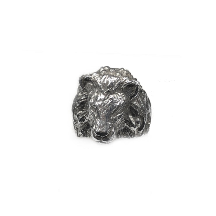 Lion head